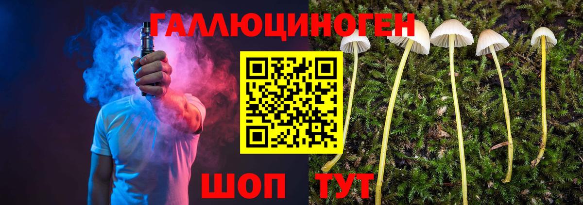 Псилоцибиновые грибы мицелий Серов